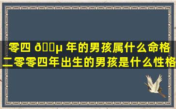 零四 🐵 年的男孩属什么命格（二零零四年出生的男孩是什么性格）